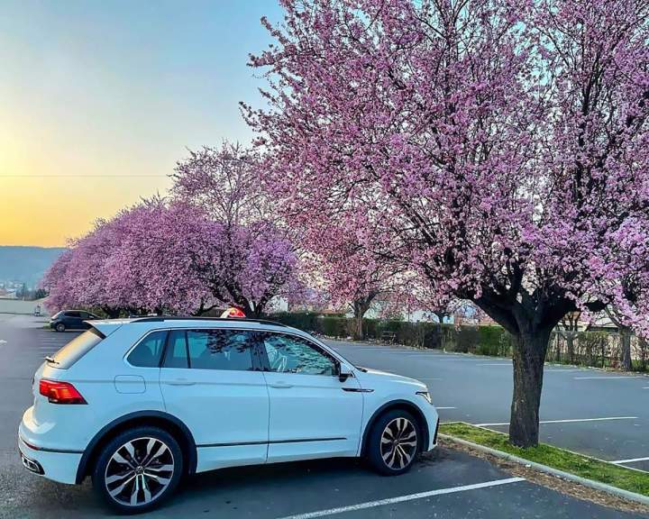 Taxi pour particuliers Clermont-Ferrand